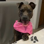 Natasha Cannon - @natashacannon6528 - Instagram
