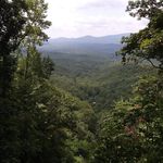 Natasha Cannon - @awetismmom - Instagram