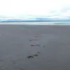 Natasha - @natasha.cano89 - TikTok