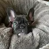 natashacano16 - @natashacano16 - TikTok