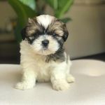 Natasha Clements - @princesita869 - Instagram