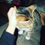 Natasha Swan-Colbert - @swancolbertnatasha - Instagram
