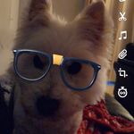 Natasha compton - @compton3611 - Instagram