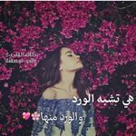 natasha dagher - @natasha.dagher - Instagram