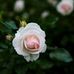 Natasha Daugherty - Facebook