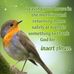 Natasha Davies - Facebook