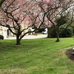 Natasha Devine Gardening - @top_soil_tash - Instagram