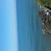 natasha devlin  - @tashcd - TikTok