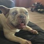 Natasha Dowd - @natasha.dowd - Instagram