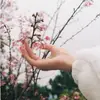 ferrisnatasha - @ferrisnatasha - TikTok