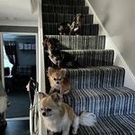 natasha flood - @tashascakes76 - Instagram