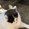 natashaforty - @thicccyboyyyy - TikTok