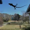 Natasha Gaddy - @natasha.gaddy - TikTok