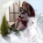 Наташа Горелик - @natashagorelik - Instagram