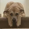 Natasha Grimes - @natasha.grimes - TikTok