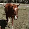 natashashands - @cre.edits - TikTok
