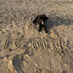 Natasha Caroline Irish - @tishtosh789 - Instagram