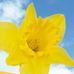 Natasha Judd - Facebook