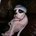 Natasha Kidd - Facebook