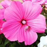 Natasha Kirkpatrick - @natashakirkpatrick63 - Instagram