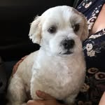 Natasha Abercrombie Kopp - @tkopp12 - Instagram