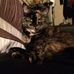 Natasha Laws - Facebook