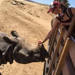 Natasha Leslie - @natasha.leslie.52 - Instagram