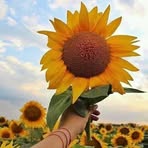 Natasha Lomas - Facebook
