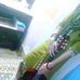 Natasha Maher - Facebook