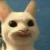 tasha.malan - @tasha.malan - TikTok