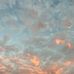 Natasha Hitzman Mapp - Facebook