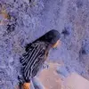 Miley Natasha Favela - @miley.natasha.fav - TikTok
