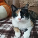 Наташа Звягина - @natasha_minakova_ - Instagram