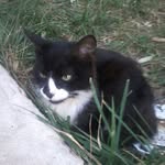 Natasha_mina - @natasha.mina - Instagram