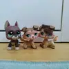 lps ❤️🧡💛💚💙💜 - @natasha_nathan.mike - TikTok