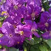 Natasha_Nesen - @natasha_nesen - TikTok