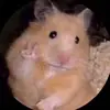 user9809047148320 - @natashanilsson2019 - TikTok