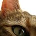 Natasha Ogle - Facebook