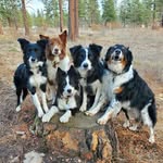 Natasha Osborn - @mtprairiedog - Instagram