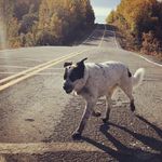 Natasha Osborn - @natasha_osborn_photography - Instagram