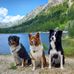 Natasha Osborn - Facebook