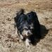 Ntp Natasha Pegues - Facebook