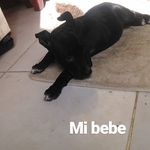 Natasha Peña - @natasha.pena.3386 - Instagram