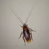 Nguyễn Anh - @natasha.pham - TikTok