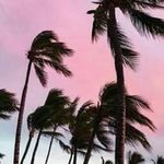 Natasha Poly - @natasha_poly_ - Instagram