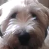 Natasha__Romanova - @natasha__romanova__ - TikTok