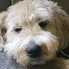 Natasha_Romanova66 - @natasha_romanova6 - TikTok