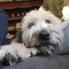 NATASHA_ROMANOVA - @natasha_romanova728 - TikTok