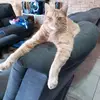 Natasha Rust - @natasha.rust8 - TikTok