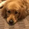 Tash - @natashasackett5 - TikTok